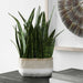 Uttermost Home Decor Uttermost Sansera Snake Accent Plant