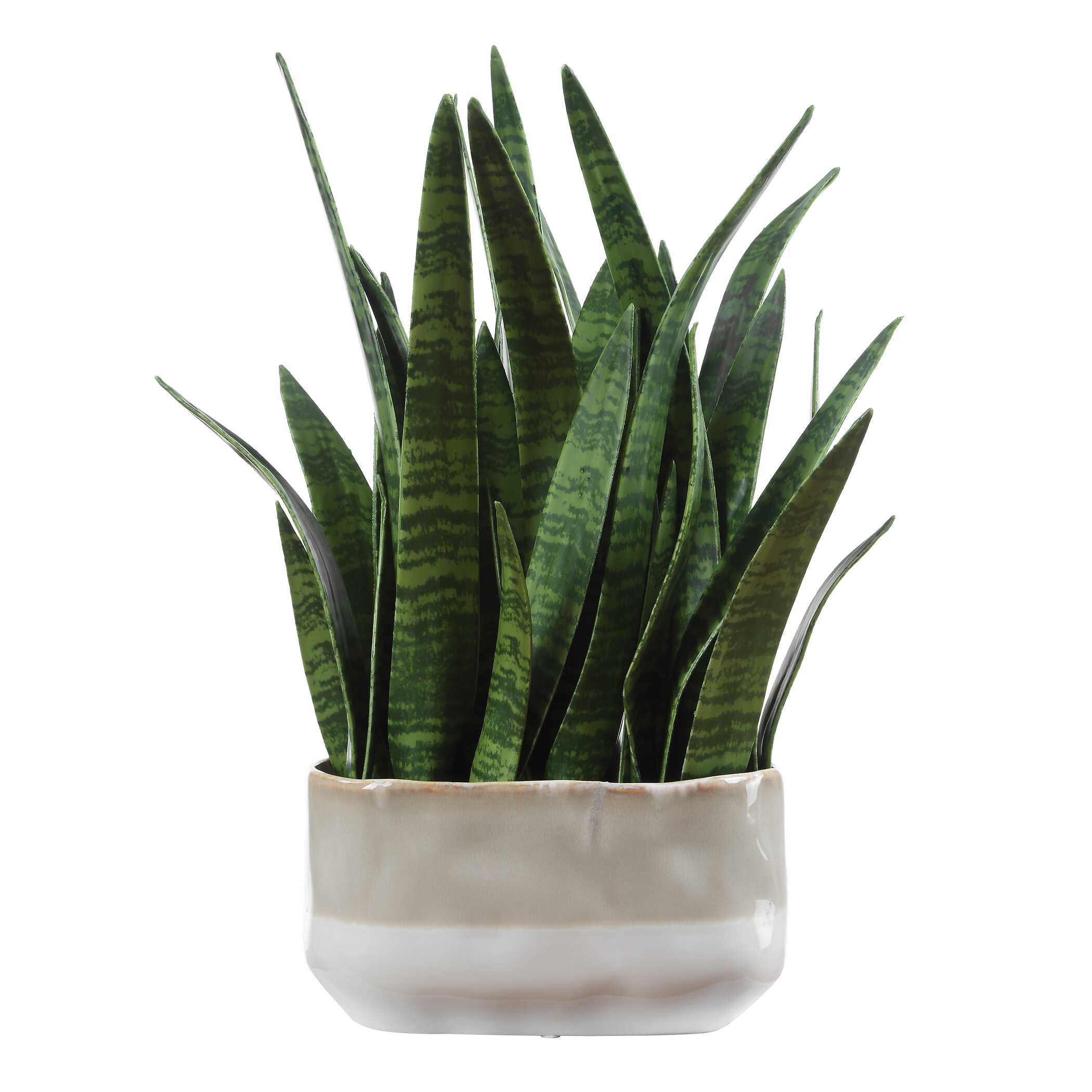 Uttermost Home Decor Uttermost Sansera Snake Accent Plant
