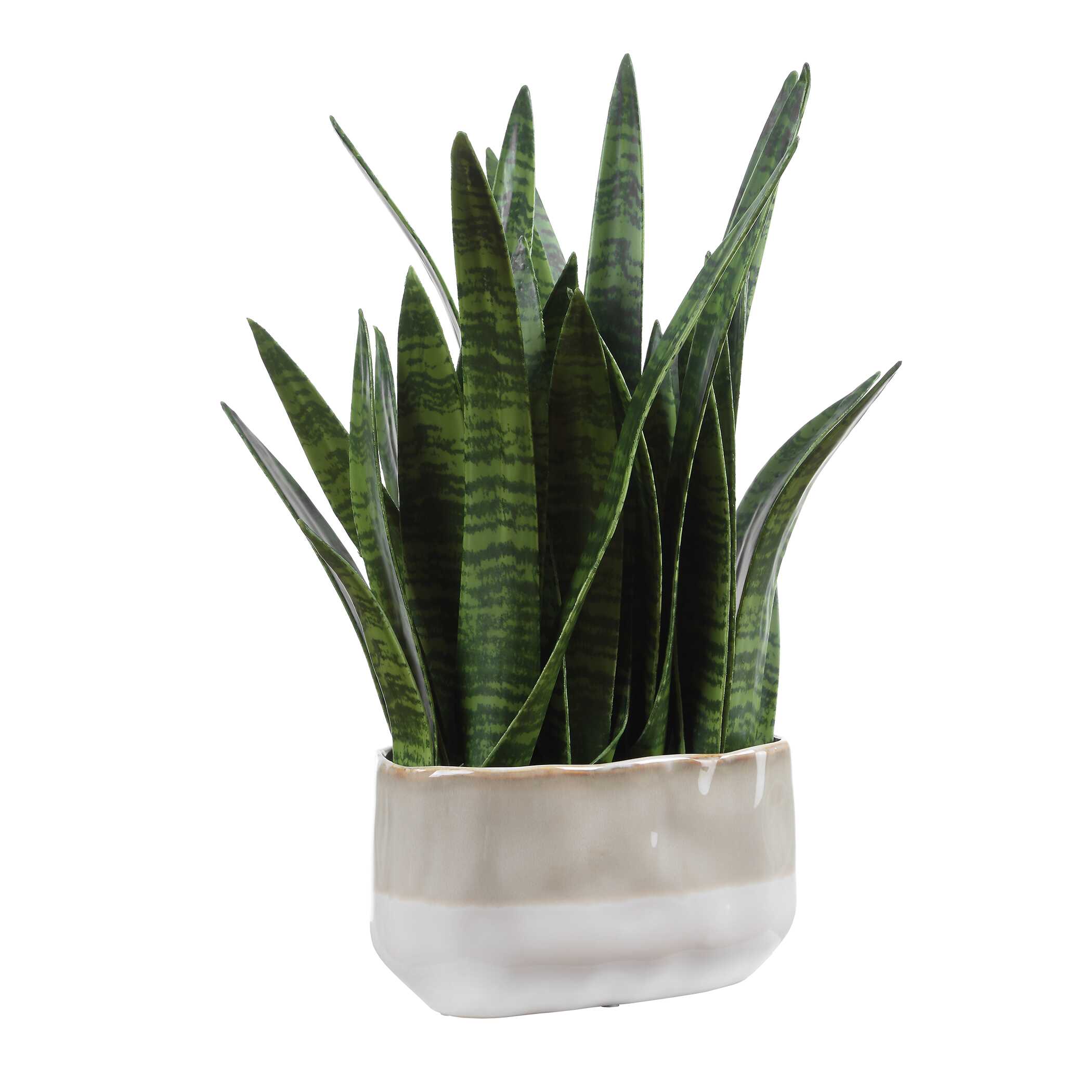 Uttermost Home Decor Uttermost Sansera Snake Accent Plant