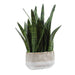 Uttermost Home Decor Uttermost Sansera Snake Accent Plant