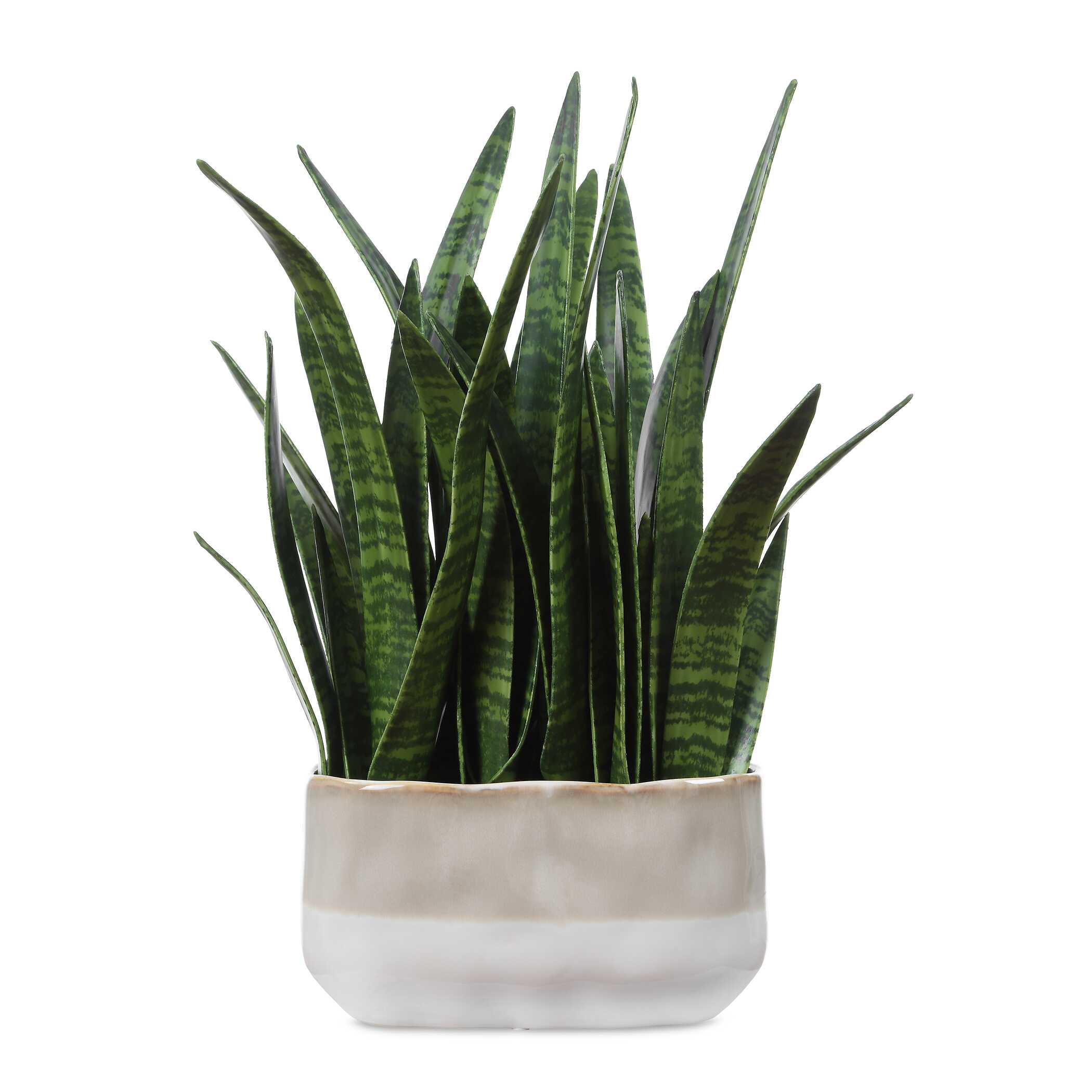 Uttermost Home Decor Uttermost Sansera Snake Accent Plant