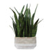 Uttermost Home Decor Uttermost Sansera Snake Accent Plant