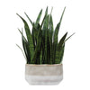 Uttermost Home Decor Uttermost Sansera Snake Accent Plant
