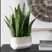 Uttermost Home Decor Uttermost Sansera Snake Accent Plant