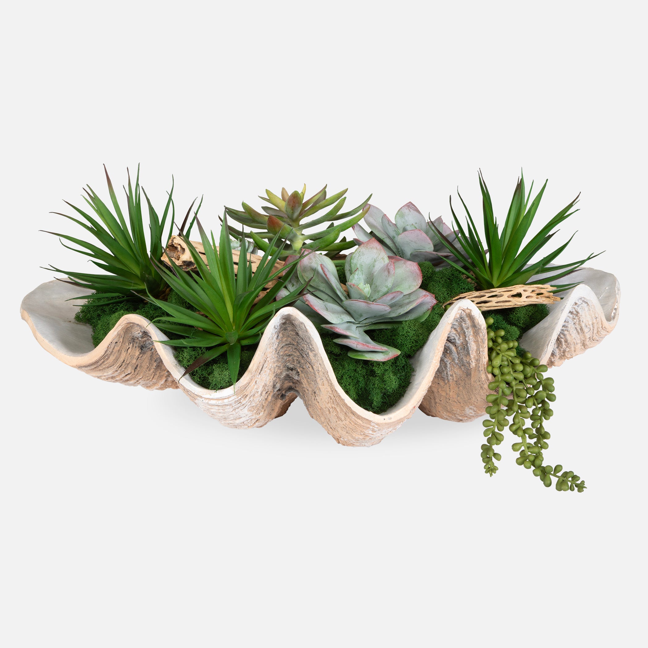 Uttermost Home Decor Uttermost Seaside Breeze Succulents