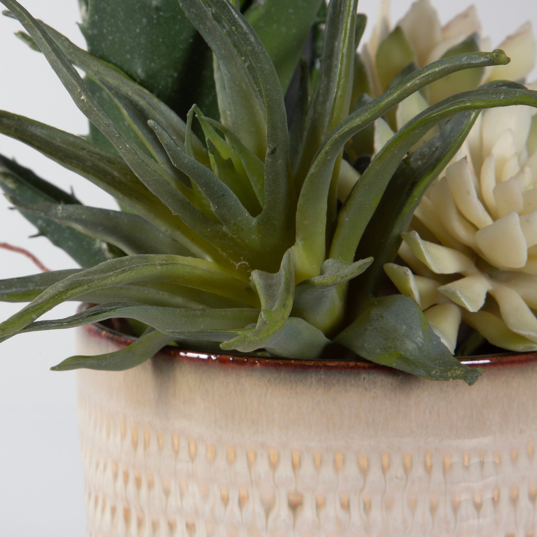 Uttermost Home Uttermost Seaside Succulents, Set/2