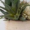 Uttermost Home Uttermost Seaside Succulents, Set/2