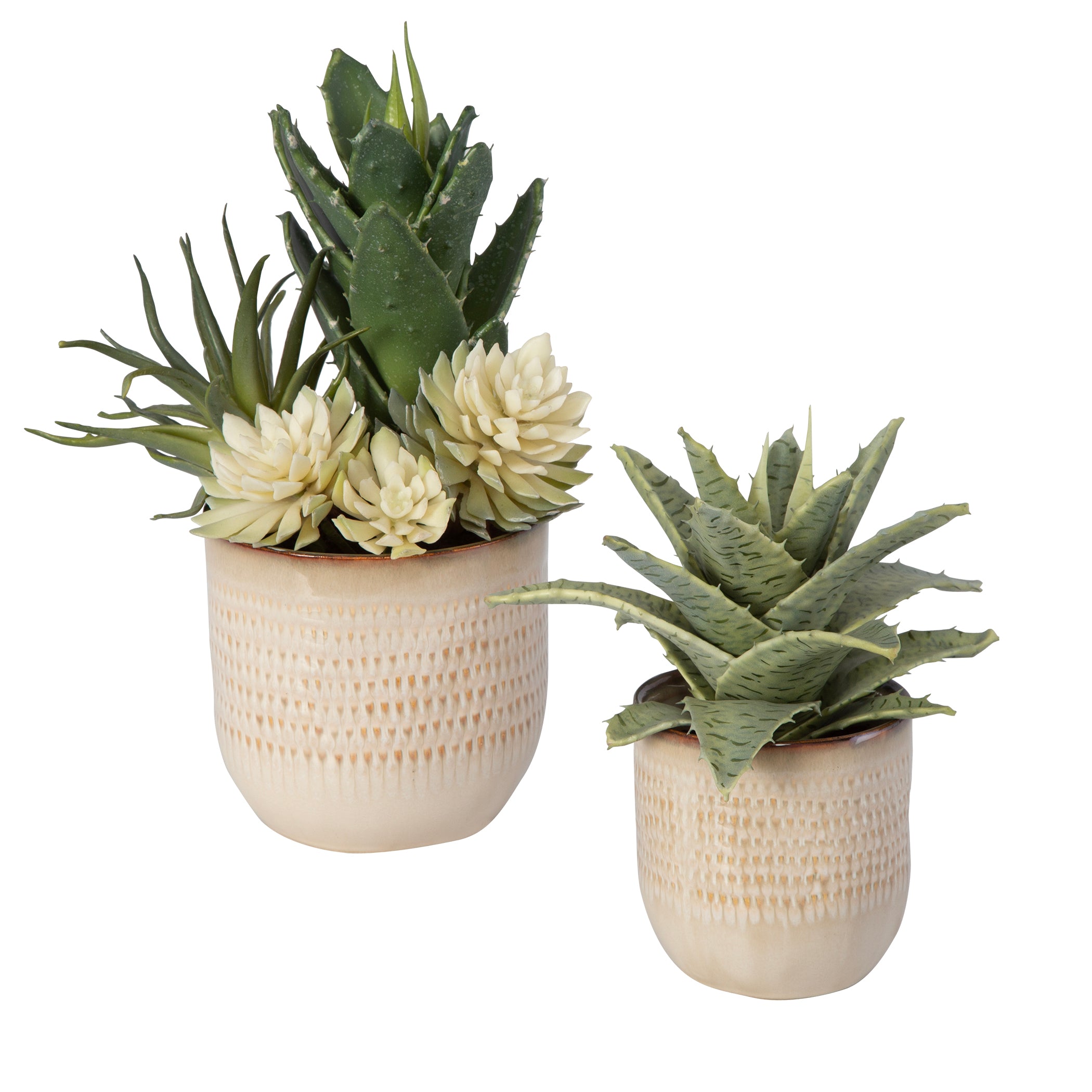 Uttermost Home Uttermost Seaside Succulents, Set/2