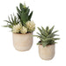 Uttermost Home Uttermost Seaside Succulents, Set/2