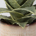 Uttermost Home Uttermost Seaside Succulents, Set/2