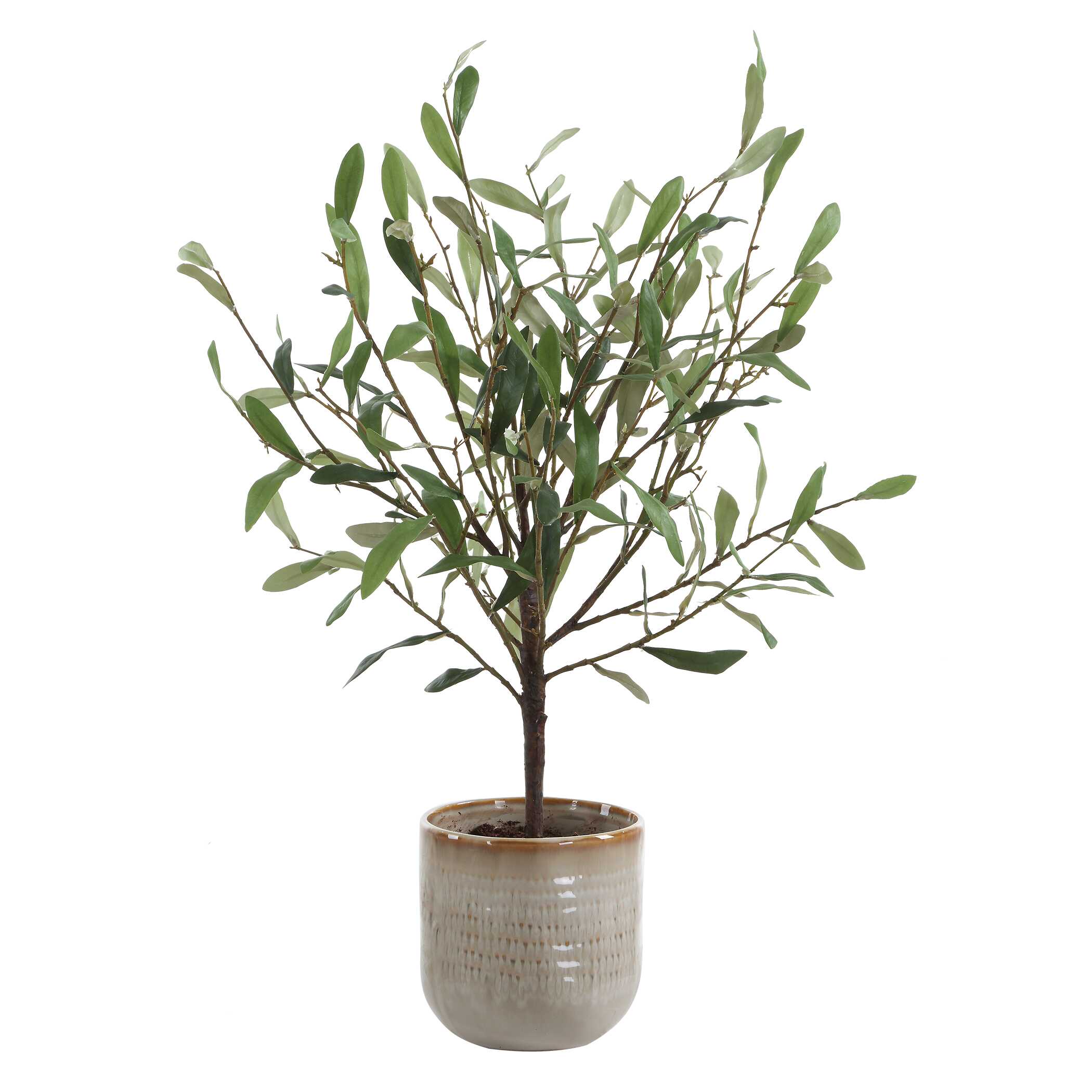 Uttermost Uttermost Solea Olive Accent & Textured Vase