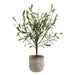 Uttermost Uttermost Solea Olive Accent & Textured Vase