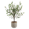 Uttermost Uttermost Solea Olive Accent & Textured Vase