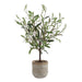 Uttermost Uttermost Solea Olive Accent & Textured Vase