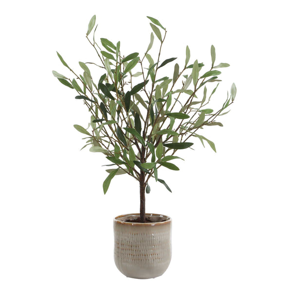 Uttermost Uttermost Solea Olive Accent & Textured Vase