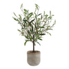 Uttermost Uttermost Solea Olive Accent & Textured Vase