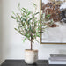 Uttermost Uttermost Solea Olive Accent & Textured Vase
