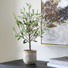 Uttermost Uttermost Solea Olive Accent & Textured Vase