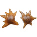 Uttermost Home Decor Uttermost Starpetal Indoor-Outdoor Wooden Bowls Set/2