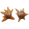 Uttermost Home Decor Uttermost Starpetal Indoor-Outdoor Wooden Bowls Set/2