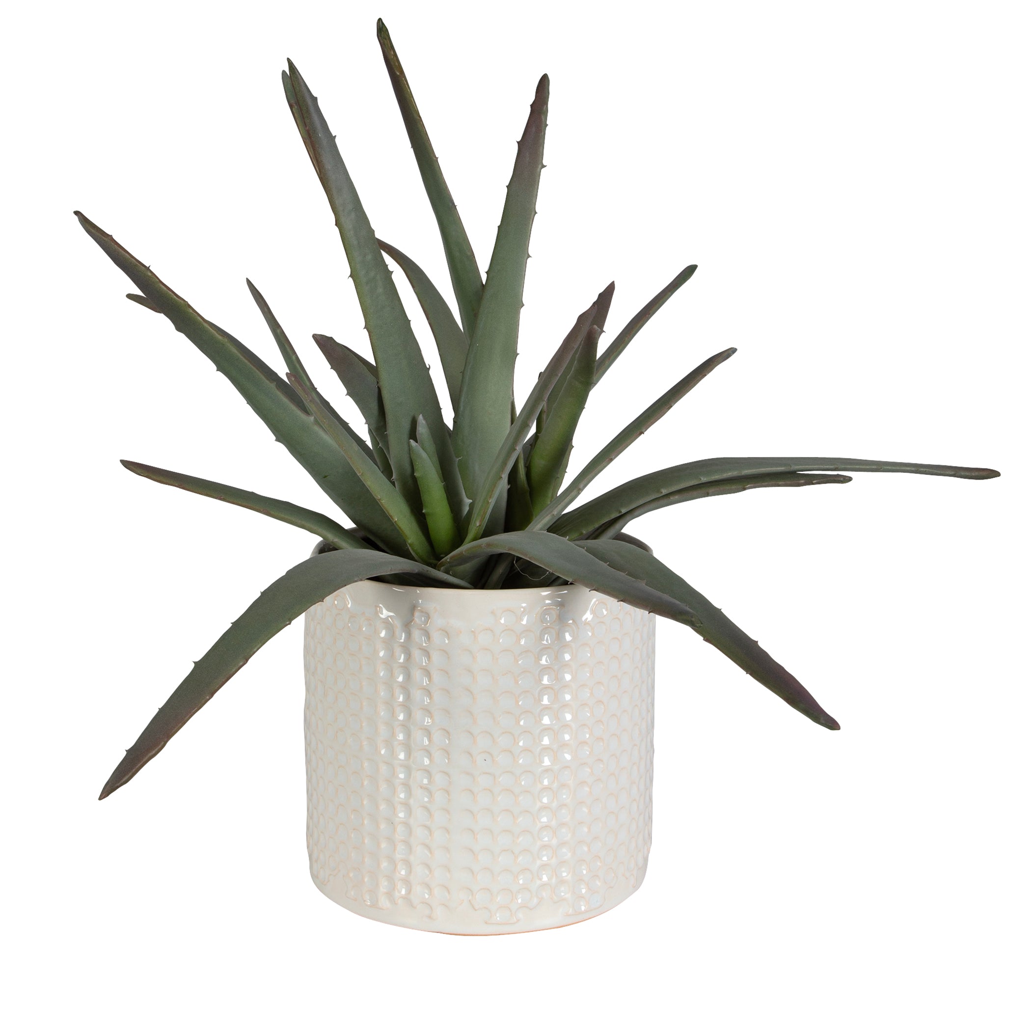 Uttermost Home Uttermost Taos Aloe Centerpiece