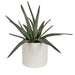 Uttermost Home Uttermost Taos Aloe Centerpiece