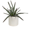 Uttermost Home Uttermost Taos Aloe Centerpiece