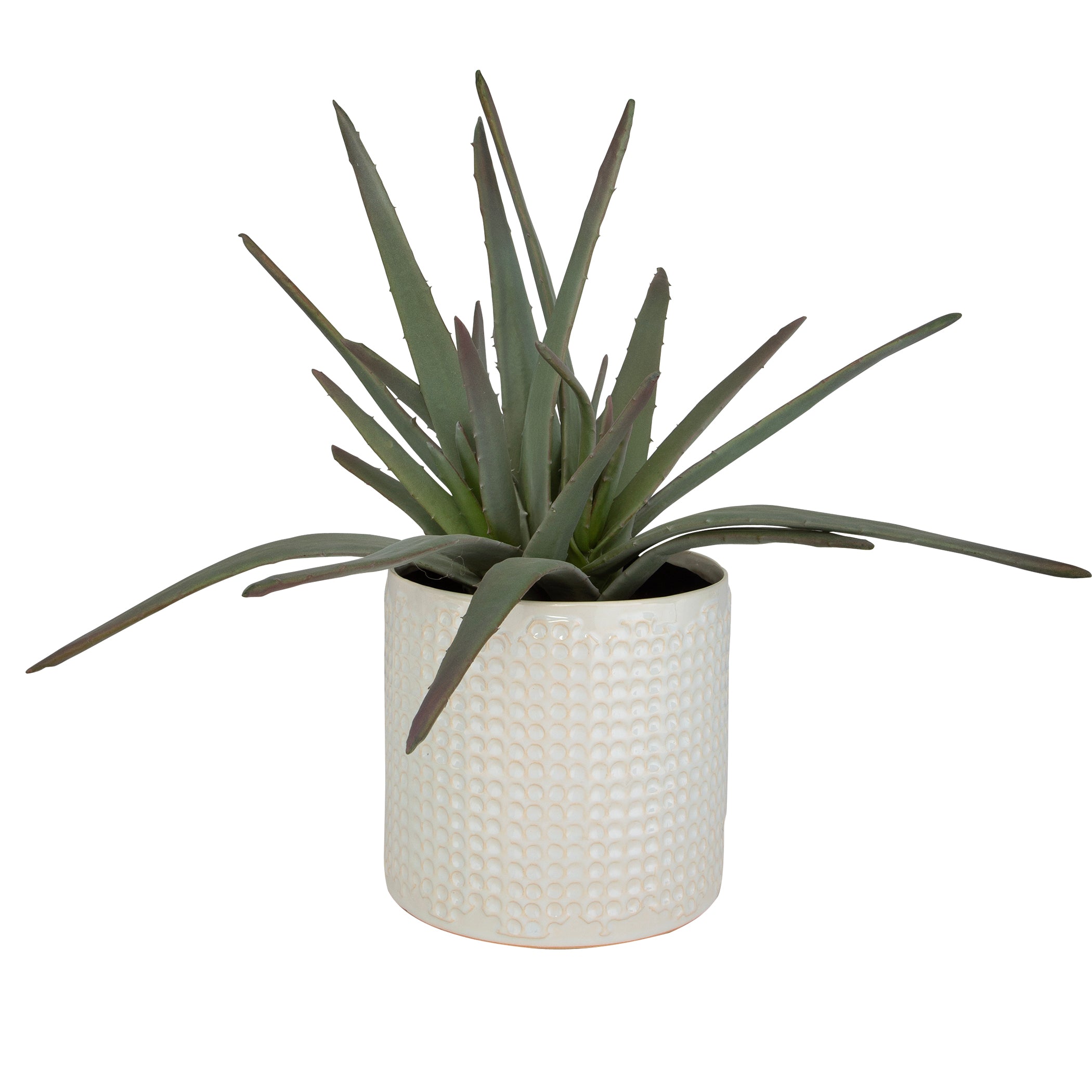 Uttermost Home Uttermost Taos Aloe Centerpiece