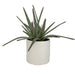 Uttermost Home Uttermost Taos Aloe Centerpiece