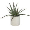Uttermost Home Uttermost Taos Aloe Centerpiece
