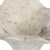 Uttermost Uttermost Teo Bleached Wood Wall Decor Set/3