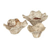 Uttermost Uttermost Teo Bleached Wood Wall Decor Set/3