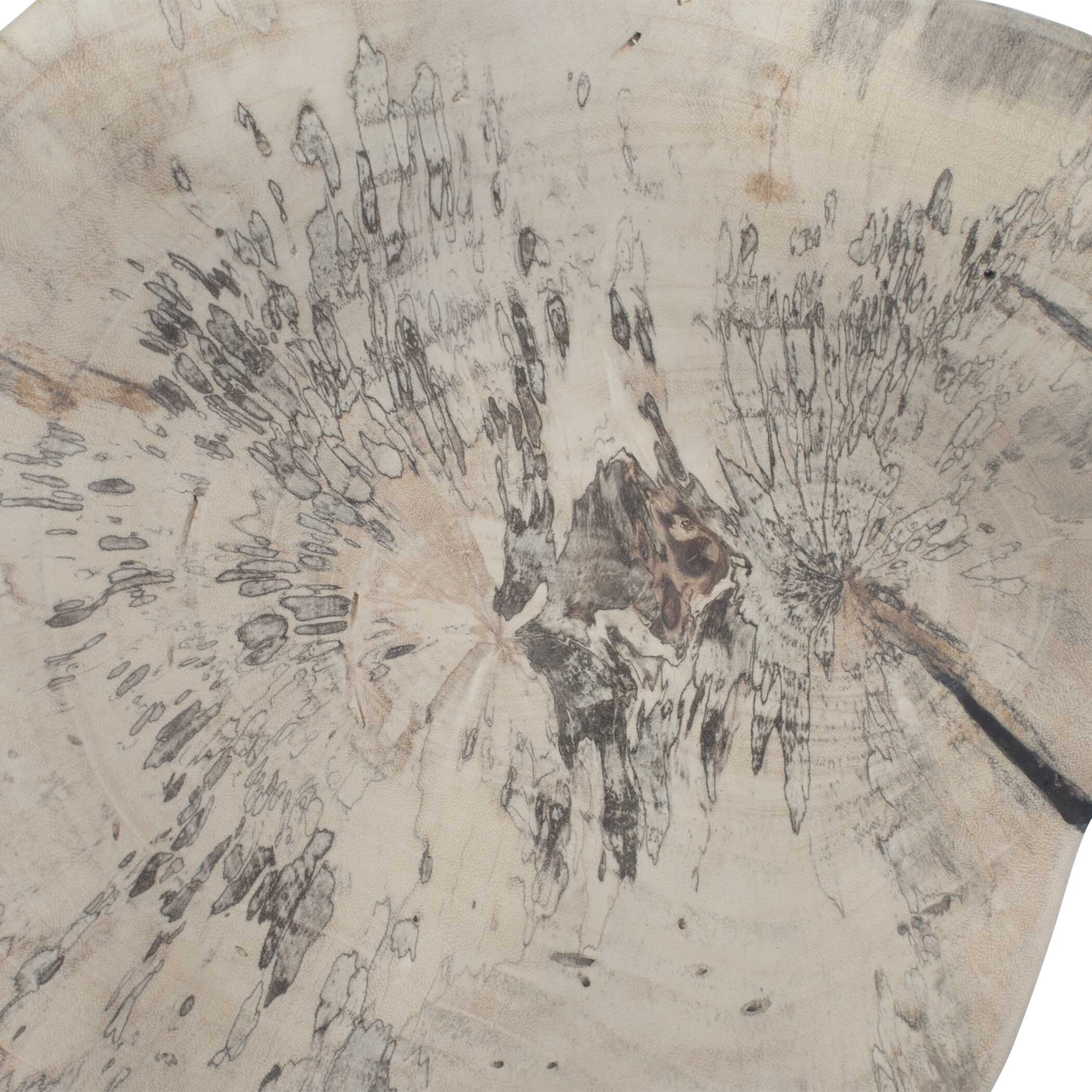 Uttermost Uttermost Teo Bleached Wood Wall Decor Set/3