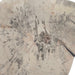 Uttermost Uttermost Teo Bleached Wood Wall Decor Set/3