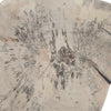 Uttermost Uttermost Teo Bleached Wood Wall Decor Set/3