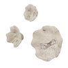 Uttermost Uttermost Teo Bleached Wood Wall Decor Set/3