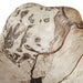 Uttermost Uttermost Teo Bleached Wood Wall Decor Set/3