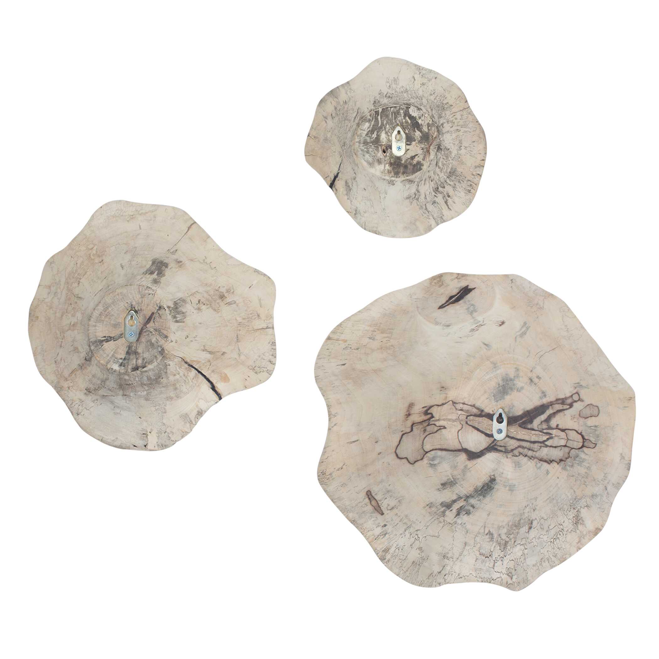 Uttermost Uttermost Teo Bleached Wood Wall Decor Set/3