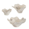 Uttermost Uttermost Teo Bleached Wood Wall Decor Set/3