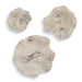 Uttermost Uttermost Teo Bleached Wood Wall Decor Set/3