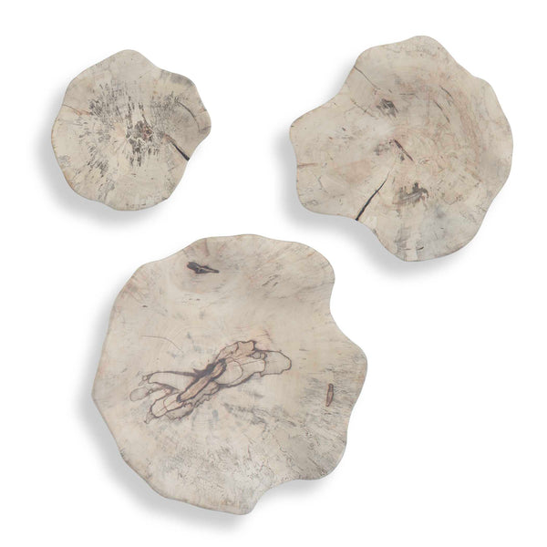 Uttermost Uttermost Teo Bleached Wood Wall Decor Set/3