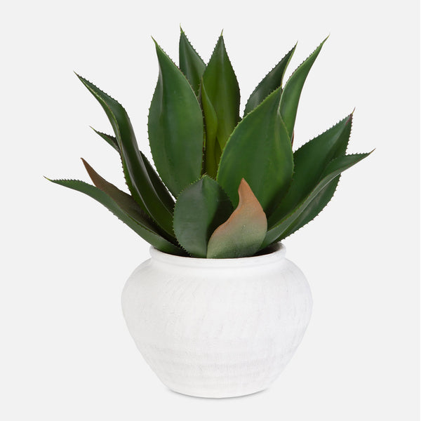 Uttermost Home Decor Uttermost Tierra Agave Centerpiece With Vase