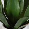 Uttermost Home Decor Uttermost Tierra Agave Centerpiece With Vase