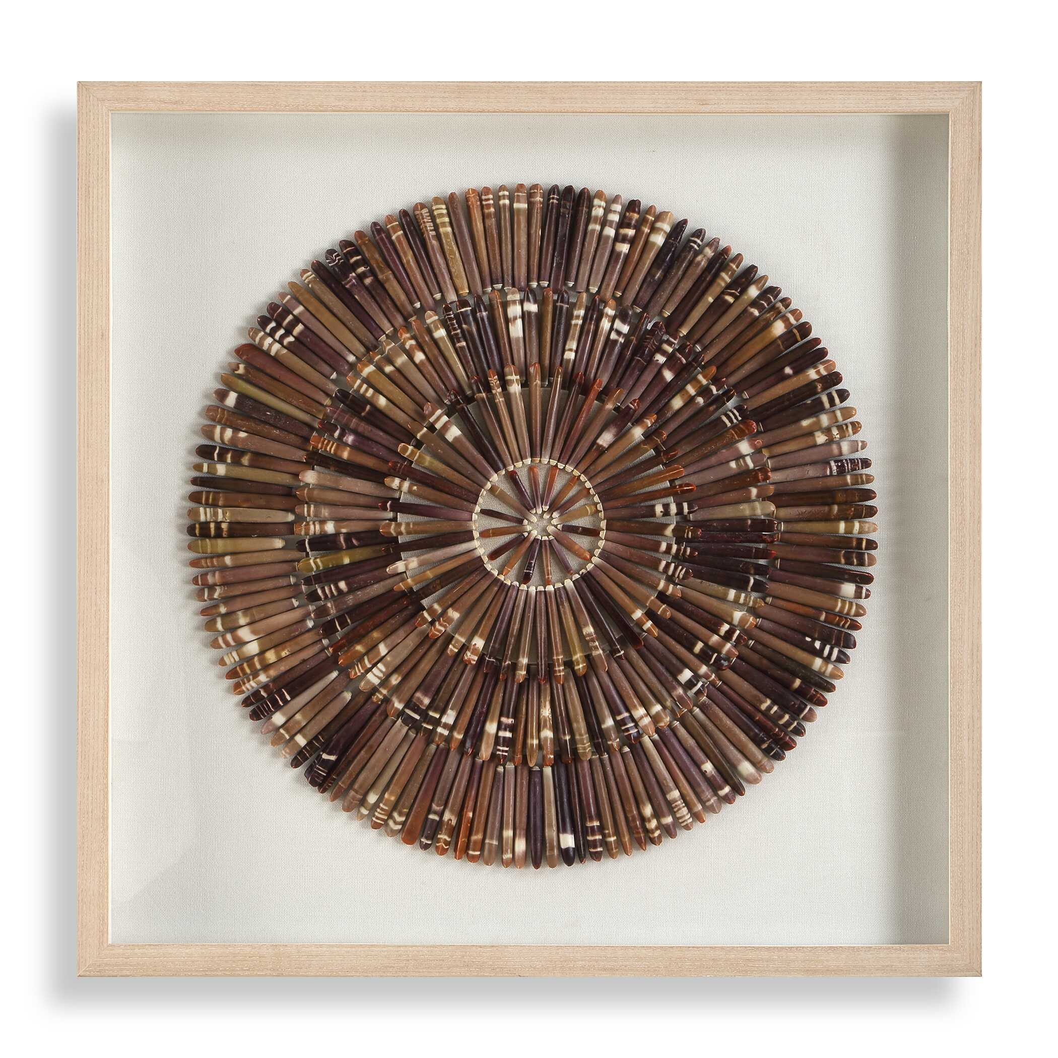 Uttermost Home Decor Uttermost Tiger Sea Urchin Shadow Box