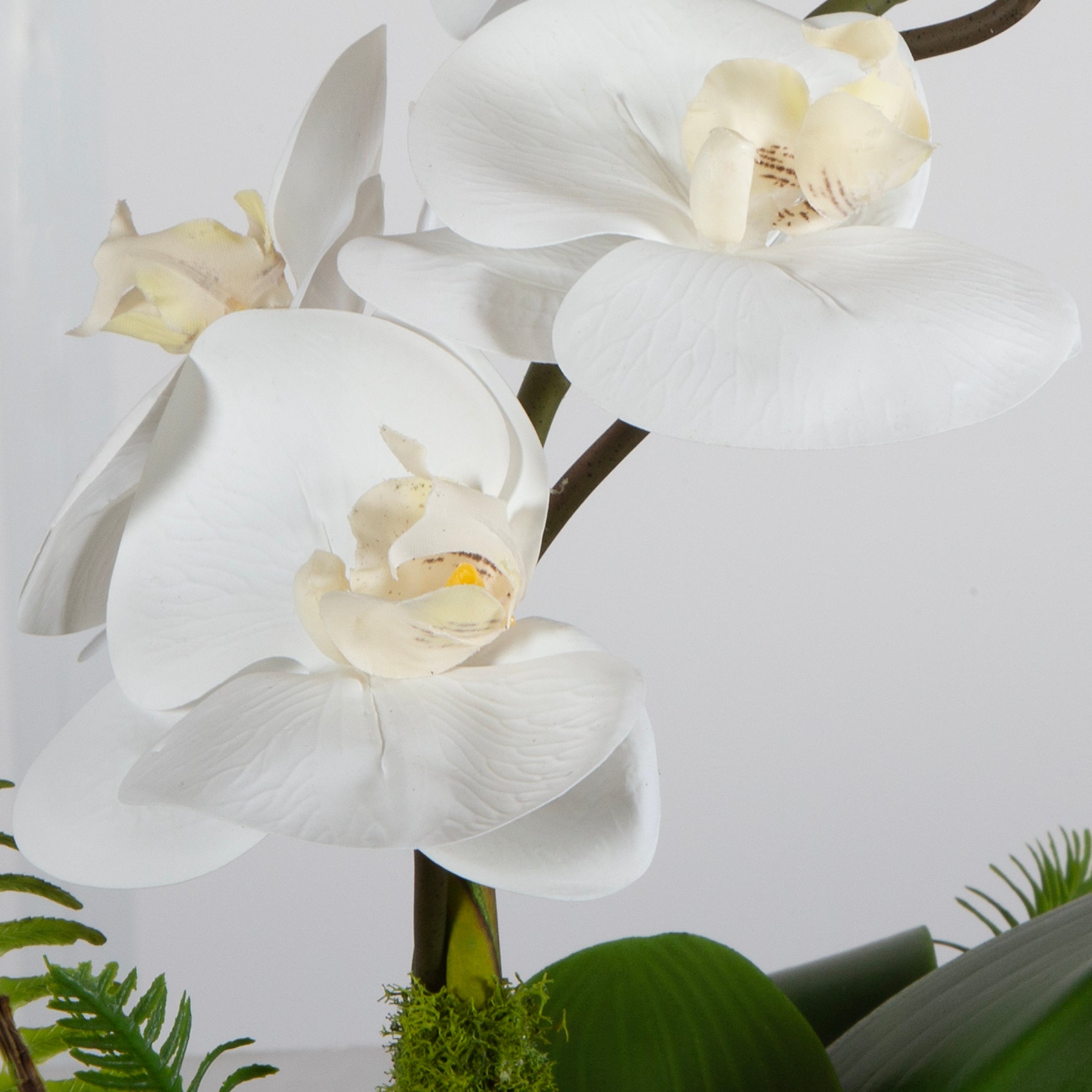 Uttermost Home Uttermost Transcend Orchid Centerpiece