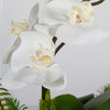Uttermost Home Uttermost Transcend Orchid Centerpiece