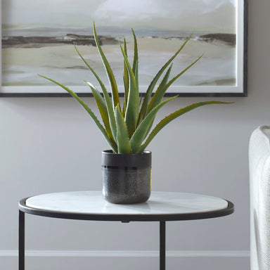 Uttermost Home Uttermost Tucson Aloe Planter