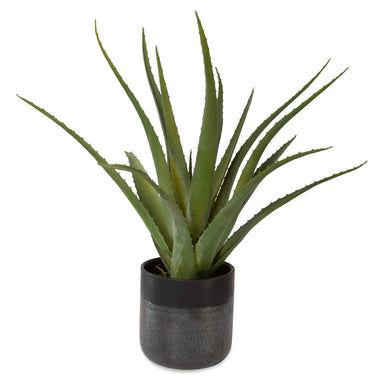 Uttermost Home Uttermost Tucson Aloe Planter