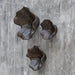 Uttermost Home Decor Uttermost Two Wood Wall Décor In Mocha, S/3