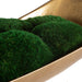 Uttermost Home Uttermost Venice Moss Centerpiece